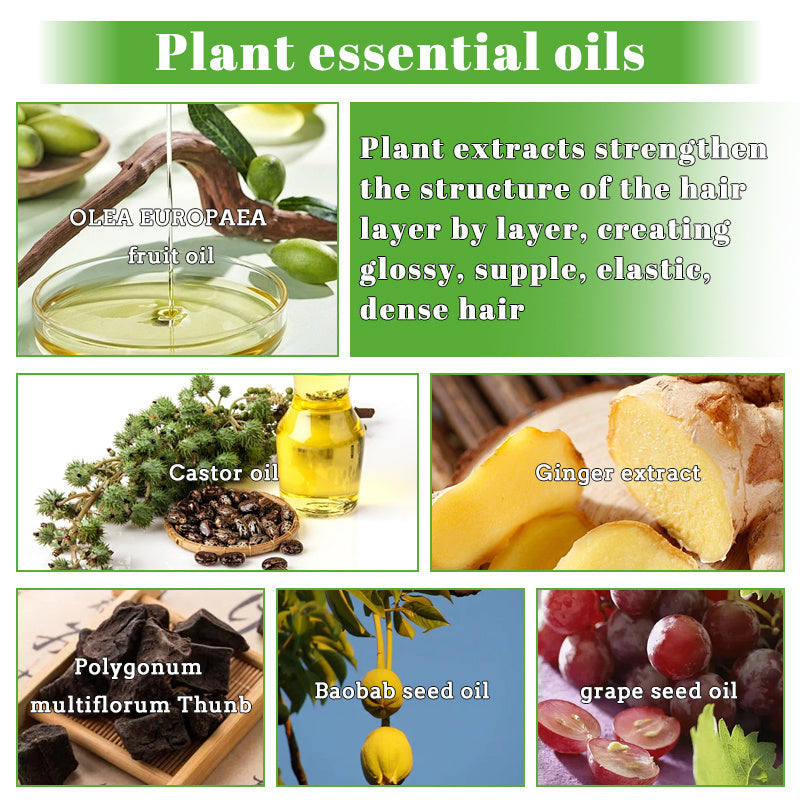 Promotes ScalpmetabolismNourish The Hair Roots