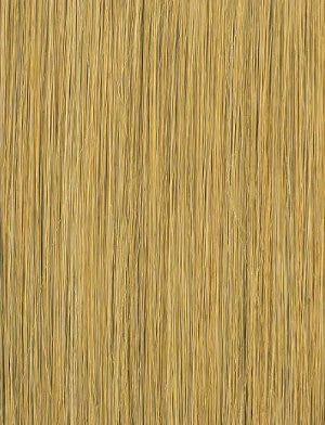 SENSATIONNEL Y-Part Bare Lace Glueless Lace Wig (IRIE)