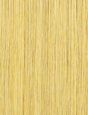 SENSATIONNEL Y-Part Bare Lace Glueless Lace Wig (IRIE)