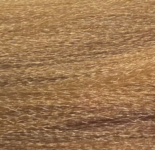 RastAfri Amazonia 6X Pre-Stretched Braid Hair 54"